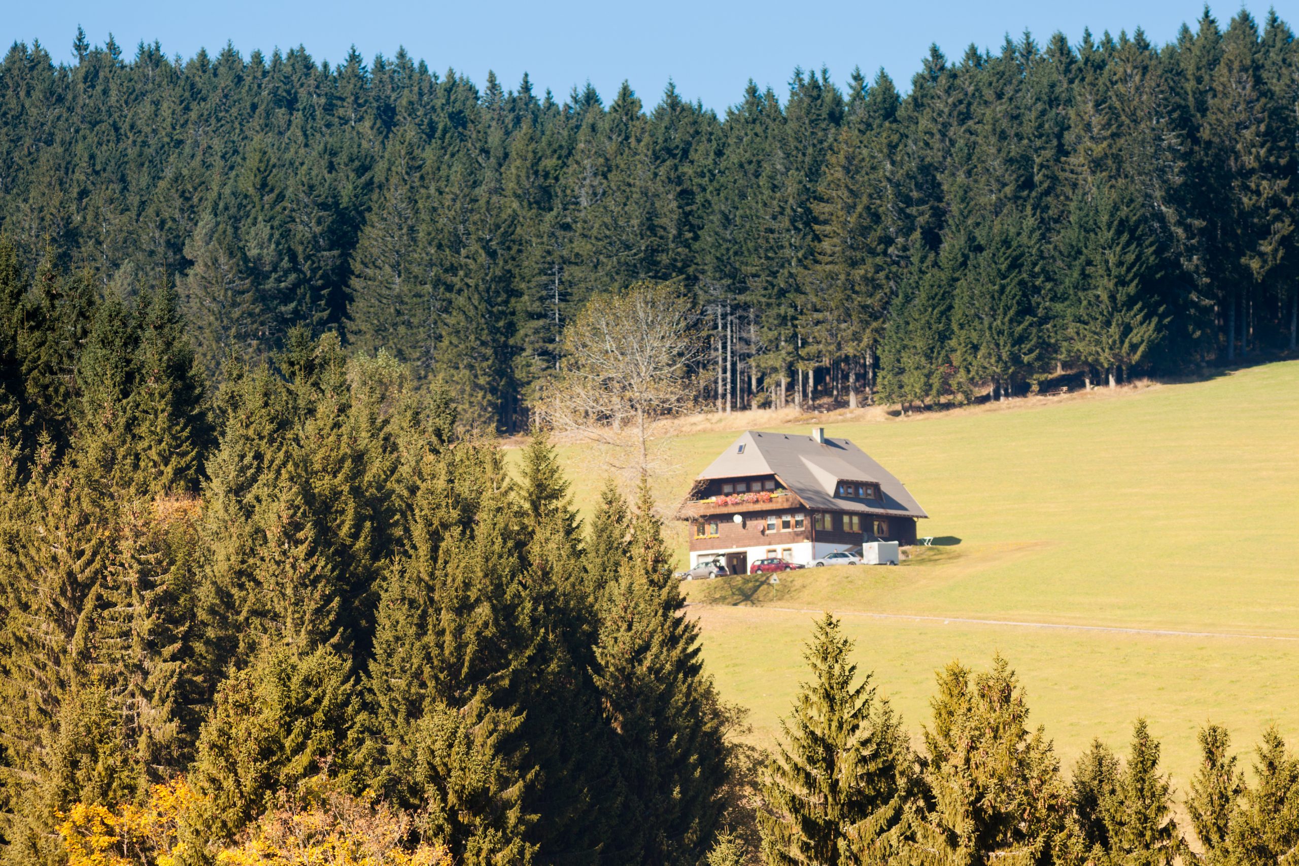 Black Forest farmland landscape Germany Europe