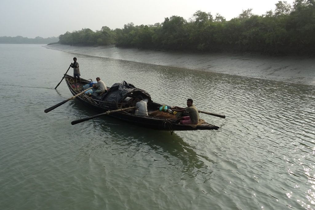 Boat moving throughout the Sundarbans river