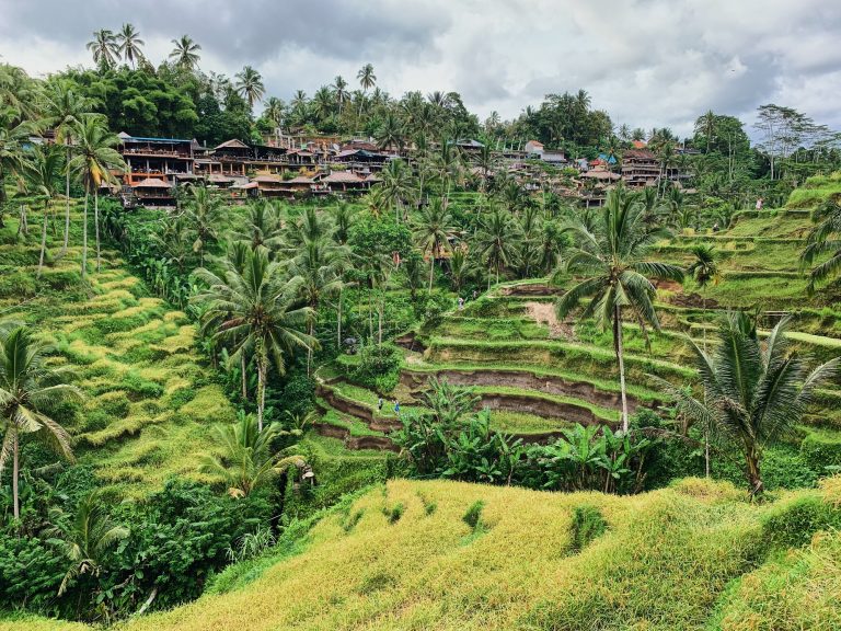 Banaue Rice Terraces in the Philippines