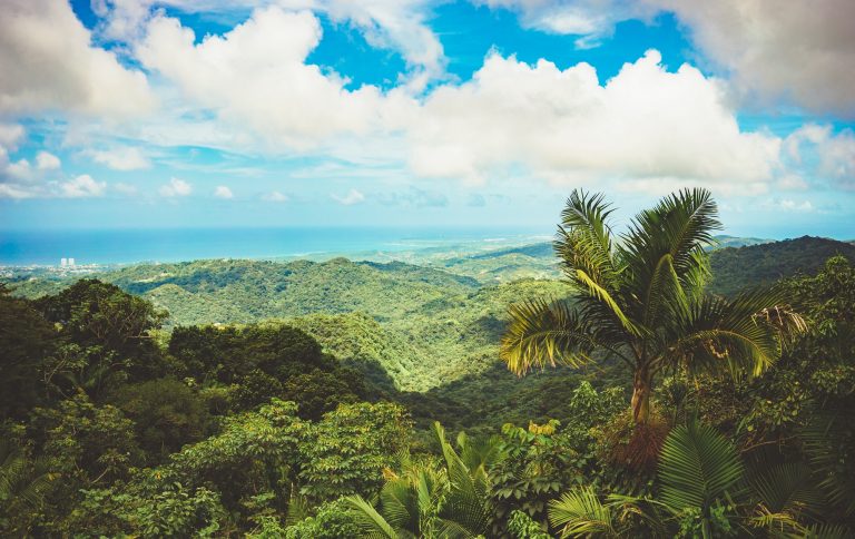 El Yunque National Forest