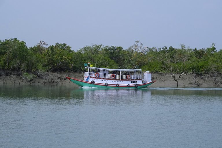 Sundarbans National Park