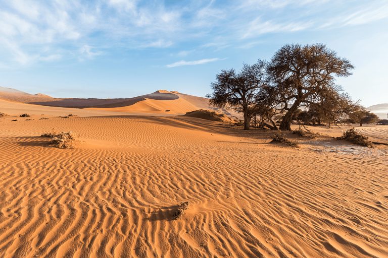 Desert