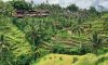 Banaue Rice Terraces in the Philippines