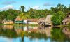 Amazon Jungle Village